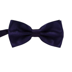 Casual Adult Polyester Silk Multicolor Bow Tie