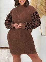 Colorblock Leopard Print Long Sleeve Sweater Dress