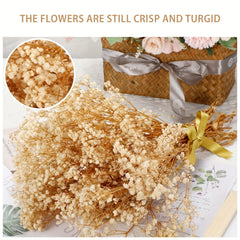 Natural Gypsophila Branches for Party Table Vase Wedding Home DIY Wreath Floral