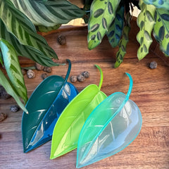 3-in-1 Plant Watering Set Spikes & Funnels for Indoor Plants