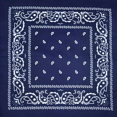 Vintage Paisley Print Bandana Hip Hop Multifunctional Neck Gaiter