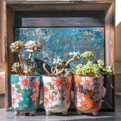 Hand-painted Meat Plant Flower Pot Yanxi Ceramic Flower Pot