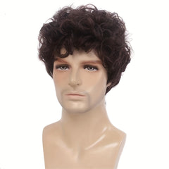 Men's Dress Up Short Curly Wig Costume Wigs For Parties