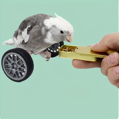 Training Parrot Bird Toy for Bird Balancing