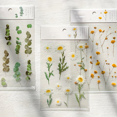 Flower Series PET Stickers for DIY Handbook Decoration Material - 6 Styles