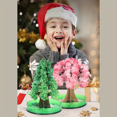 Kids Crystal Planting Set - Grow Christmas Tree in 24 Hours