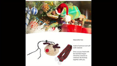 Festive Bearded Dragon Santa Hat with Scarf Christmas Costume