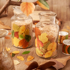 50pcs Fallen Leaves Washi Tape Autumn Decorative Stickers