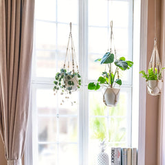 3-Pack Macrame Plant Hangers Indoor Hanging Planter Basket Flower Pot Holder