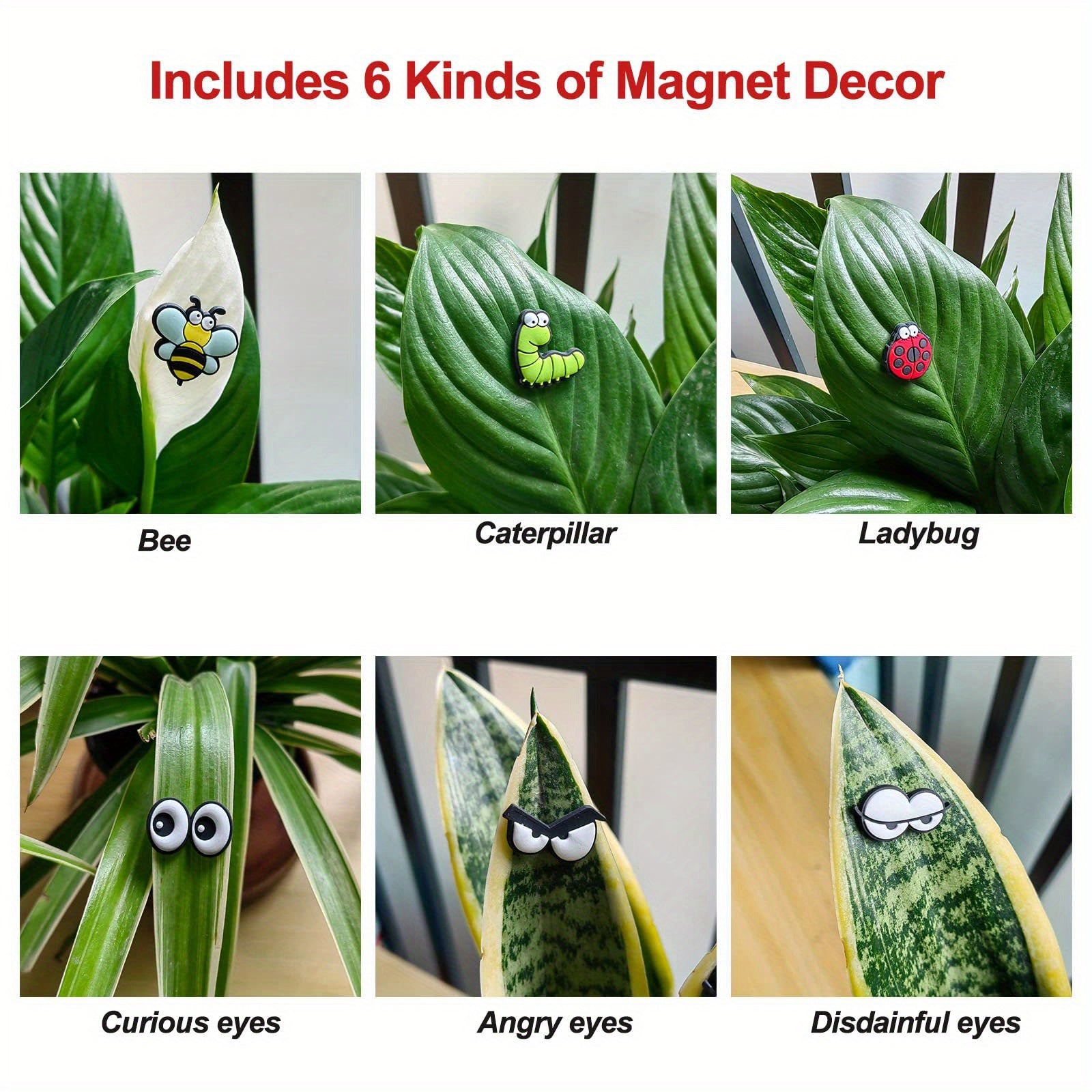 6 Pack Plant Magnet Eyes Potted Plant Safe Charms Indoor Plant Accessories