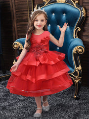 Layered Mesh Sleeveless Puffy Dress for Girls