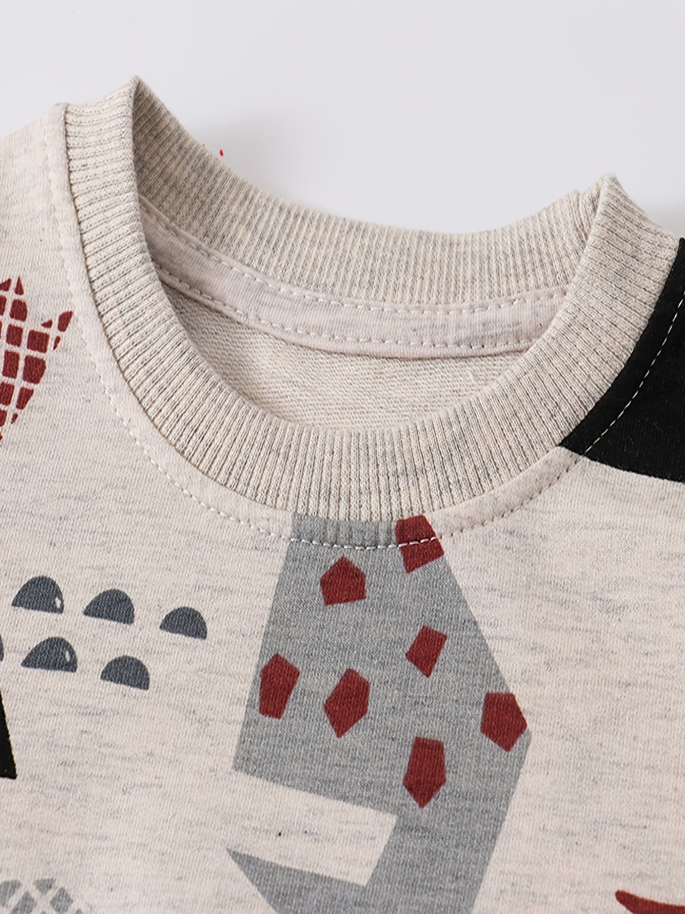 Baby Boys Dinosaur Print Pullover Sweatshirt Top