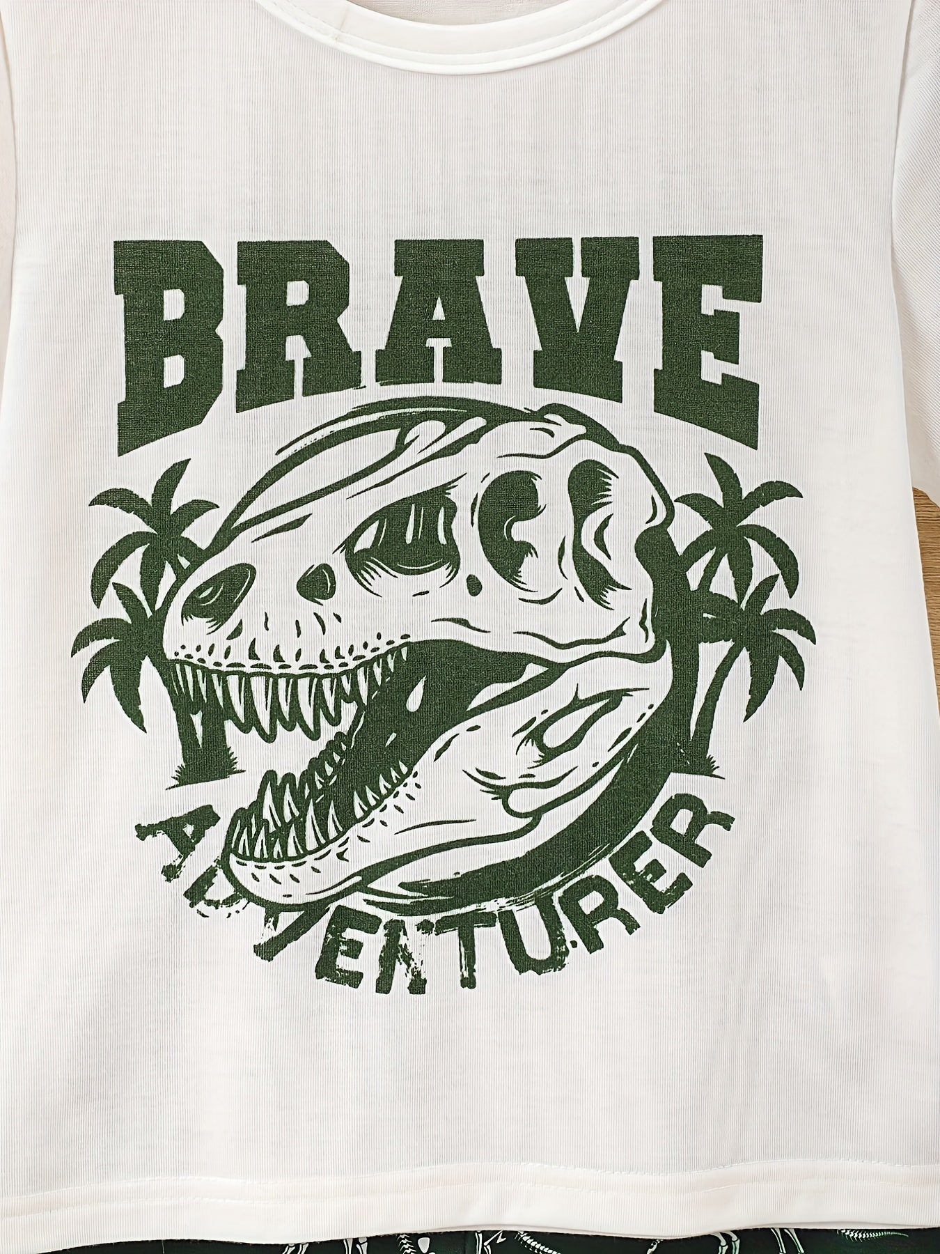 2pcs Toddler Boys Dinosaur T-Shirts & Shorts Set Summer Clothes