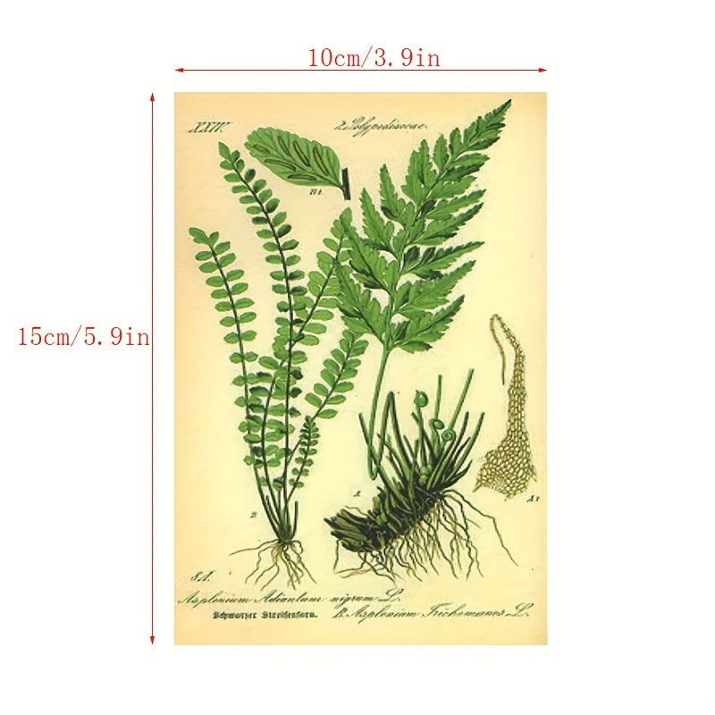 Vintage Collection Postcard Set Retro Style Nature & Ephemera Postcards