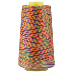 3000 Yards Rainbow Sewing Thread for Machine and Hand Repair Works