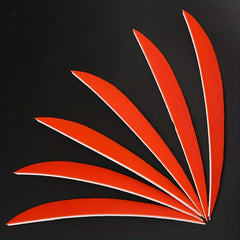 50pcs Archery Arrow Feathers 12.7cm Turkey Fletchings DIY Arrows