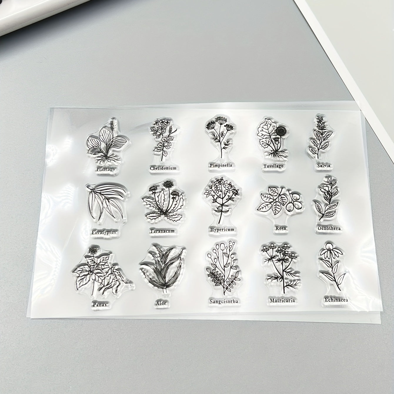 Transparent Plant Silicone Stamp for DIY Handbook Seal