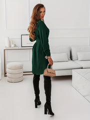 Button Shirt Dress Belt Long Sleeve Spring Fall Women's Clothing