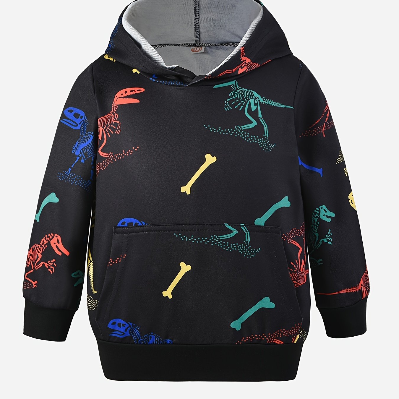 Boys Dinosaur Print Hooded Sweatshirt for Fall