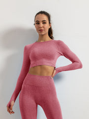 Seamless Yoga Long Sleeves Shirts Crop Top