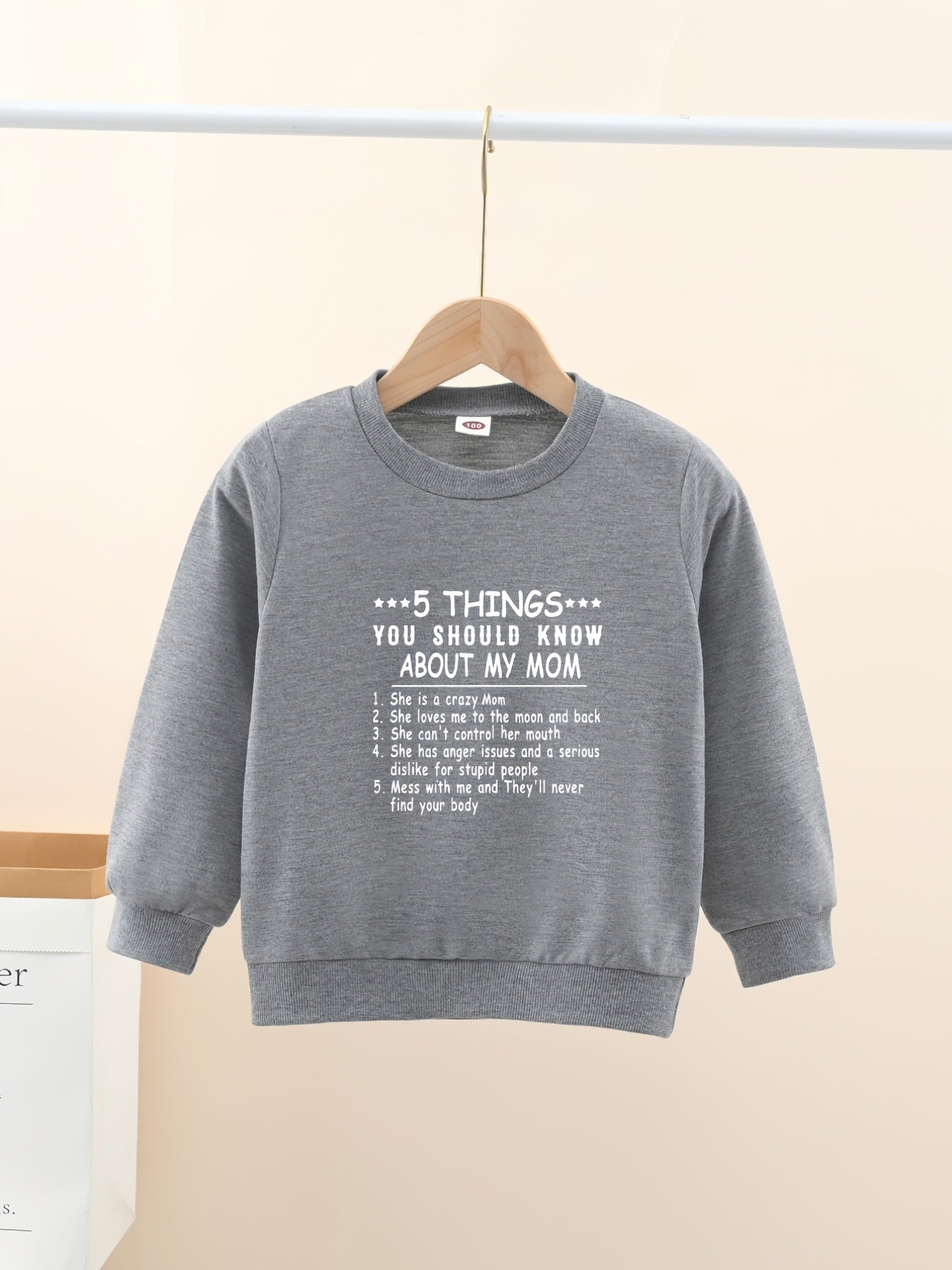 Casual Graphic Letter Print Sweatshirt For Boys