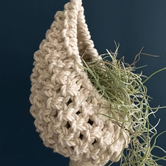 3pcs Macrame Hanging Planters Bohemian Decor with Air Plants & Tillandsia