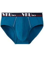 5pcs Boys Teen Casual Letter Graphic Print Briefs Underwear