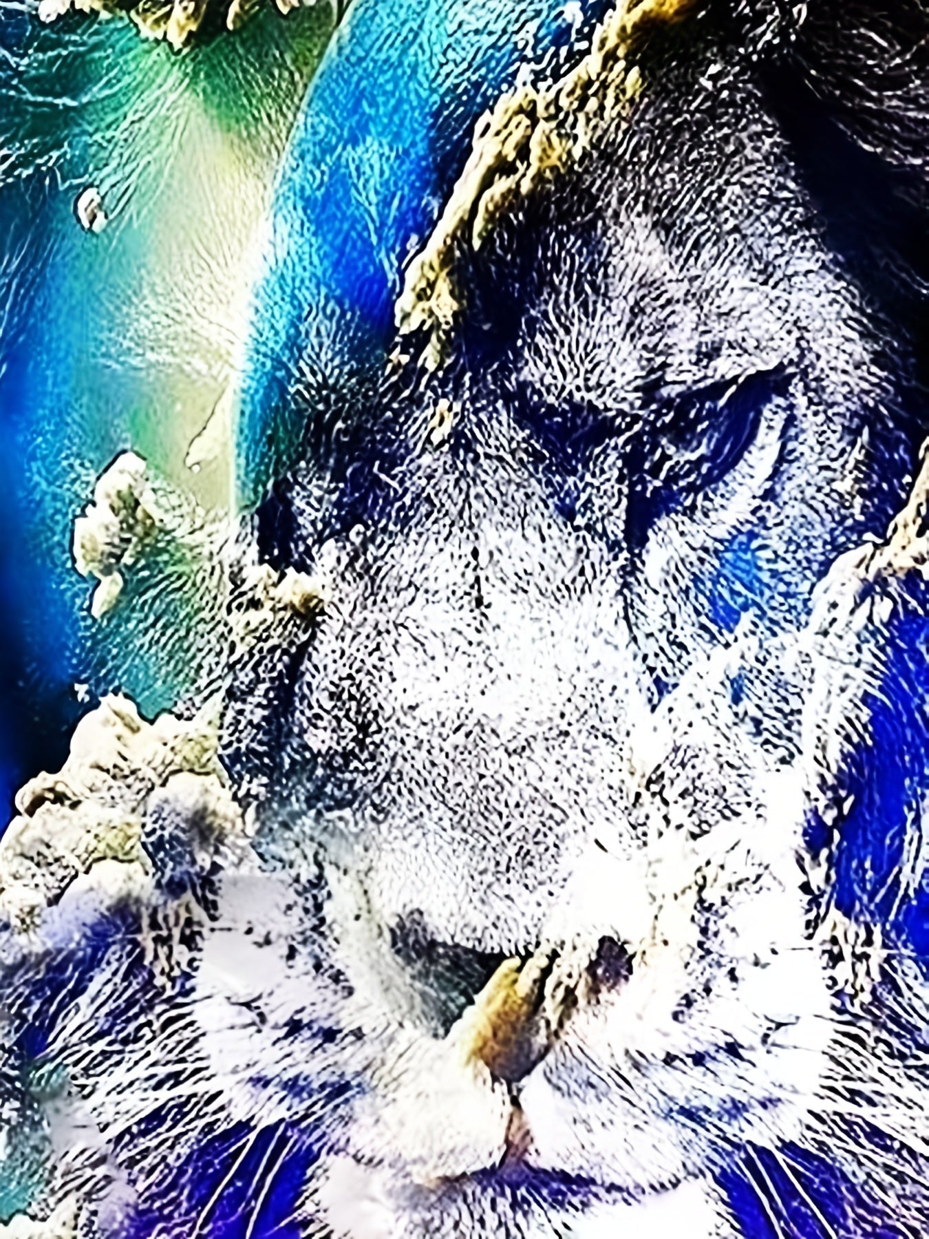 Men's Colorful Lion Graphic T Shirt 3D Print Active Stretch Tee