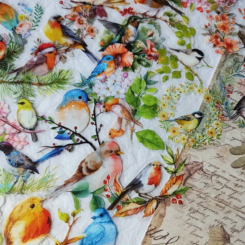 50 Watercolor Bird Doodle Stickers for Water Bottles Cars Computers Bicycles