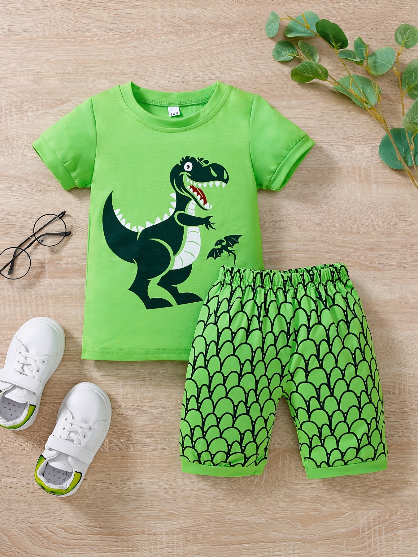 Boys Dinosaur Print T-shirt & Shorts Set
