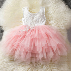 Girl's Lace Embroidered Princess Dress
