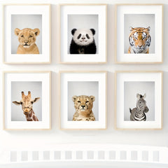 Baby Animals Portrait Posters for Room Decor