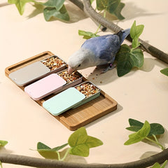 Bird Training Box For Hand-held Feeding Budgerigar Parrot Training