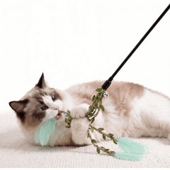 img_5833511