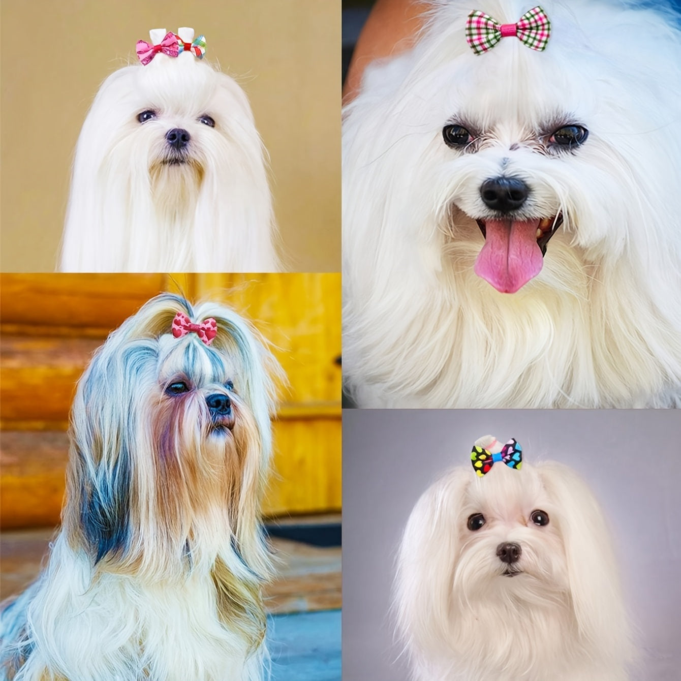 30pcs Mixed Elastic Bow Dog Hair Accessories