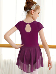 Toddler Girls Ballet Leotard Tutu Dress
