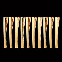 Acrylic Resin Hair Clips for Women Girls Crocodile Clips Set of 10