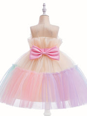 Girls' Mesh Ball Gown Princess Dress