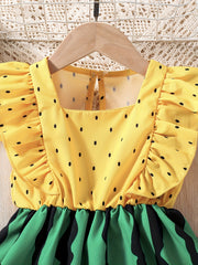 Toddler Girls Watermelon Graphic Princess Dress for Party