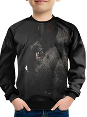 Rabbit 3D Print Boys Sweatshirt Long Sleeve Pullover Top