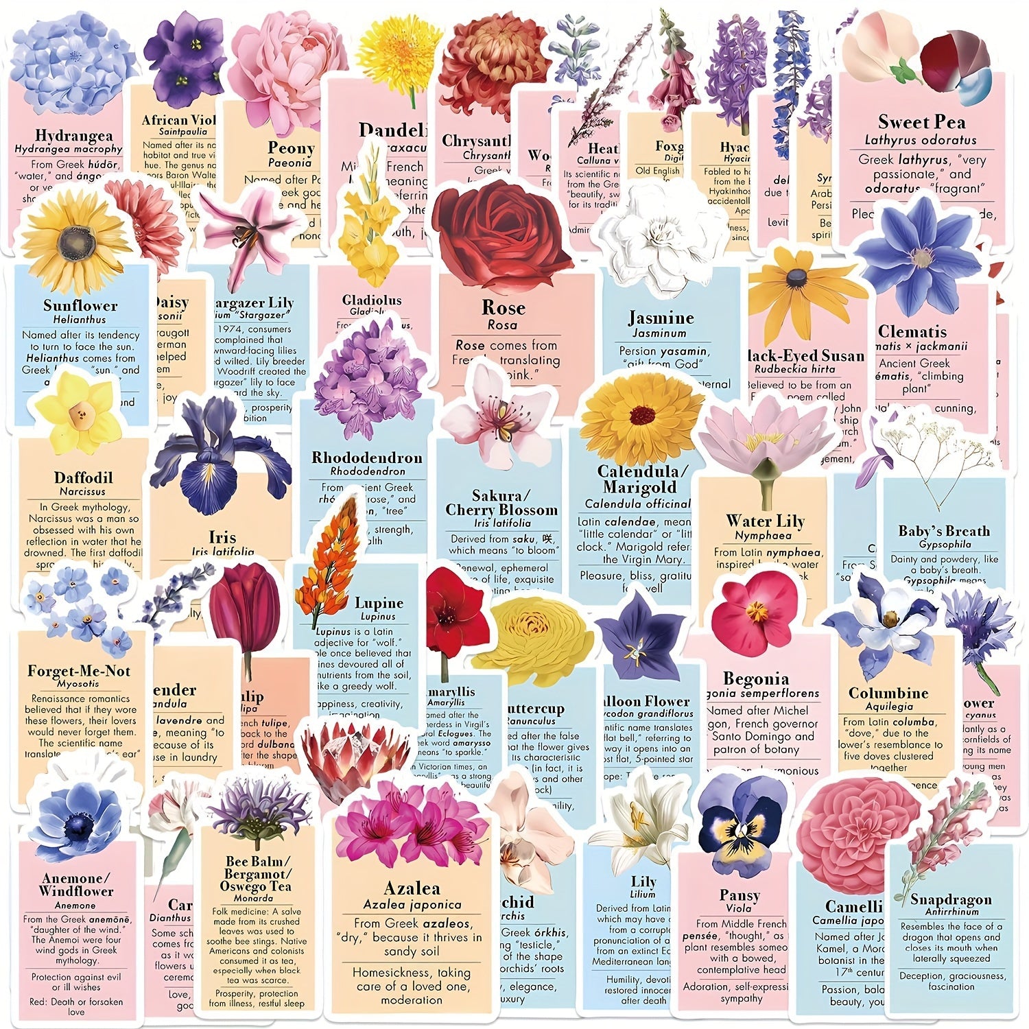 50pcs Flower Language Label Graffiti Stickers for DIY Water Cup Laptop Helmets