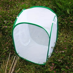 Large Pet Cage Folding Butterfly PVC Cage for Plants Insect Prevention