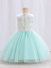 Girls Mesh Flower Embroidered Princess Dress