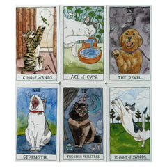 Cartoon Cat Tarot Cards Set for Beginners with Guidebook