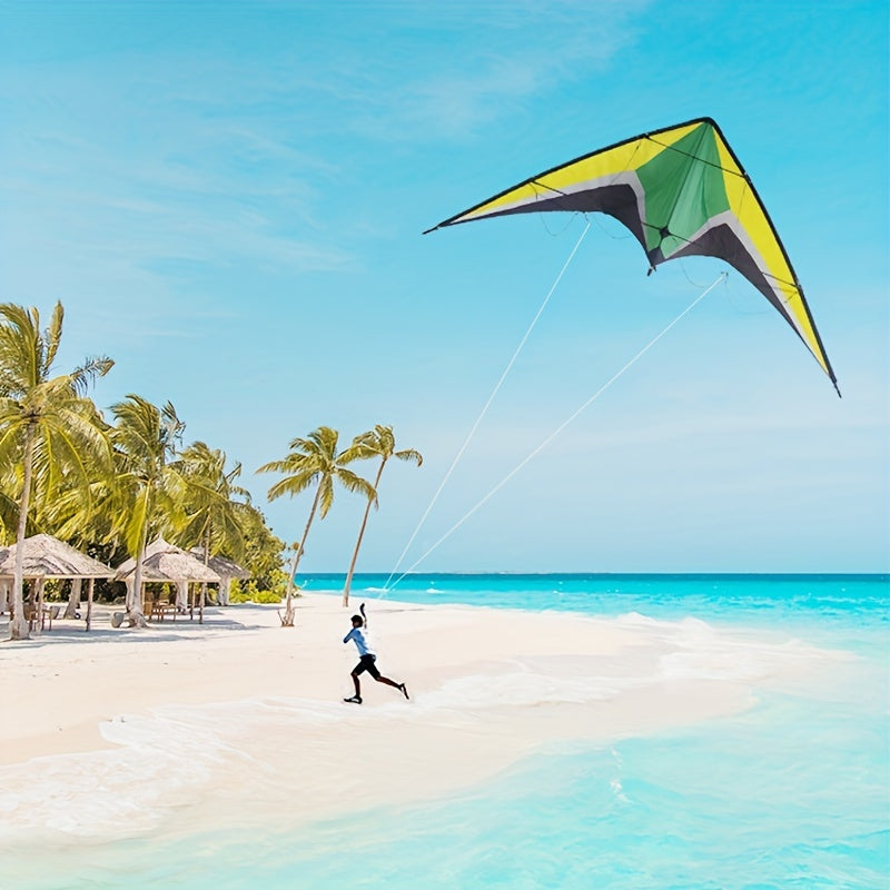 Dual Line Wing Kite for Outdoor Entertainment