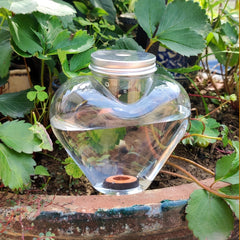 Automatic Drip Watering System for Plants - Lazy Garden Watering Kit