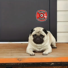 4pcs Pet Alarm Self adhesive Label Pet Inside Pet Inside Sticker