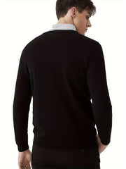Bird Print Men's V Neck Pullover Knitted Top