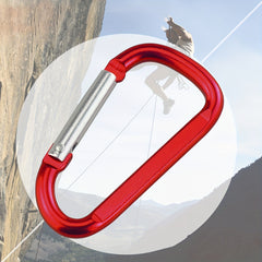 2pcs D-Shaped Aluminum Carabiners for Outdoor & Keychains