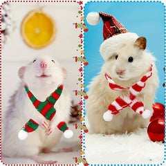 img_5505588